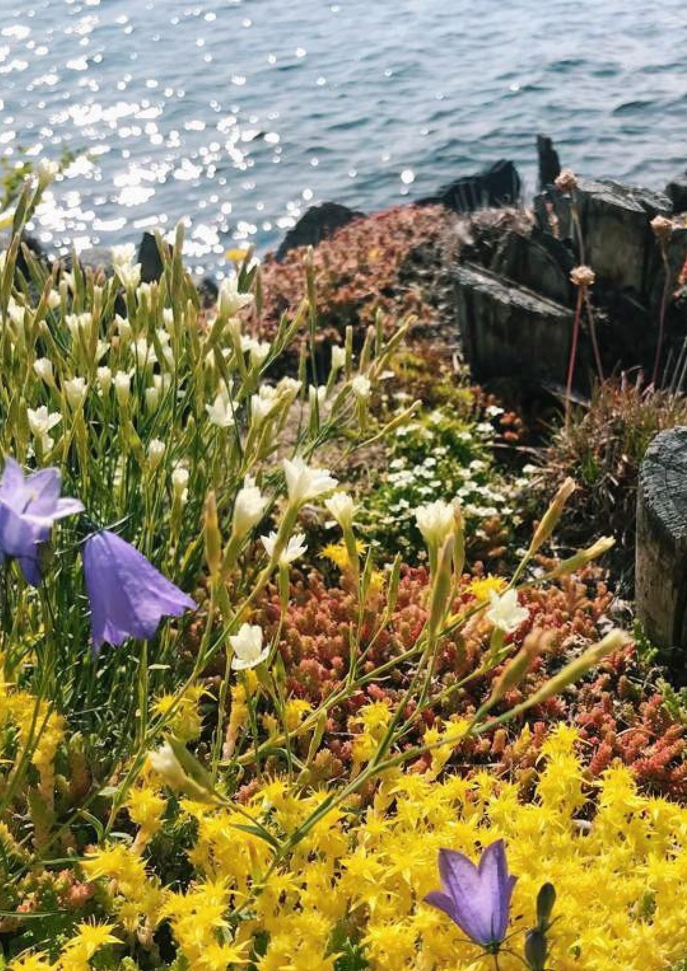 Kanaliserad rådgivning och vägledning 35 min