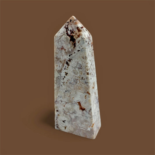 Agat cracy lace torn