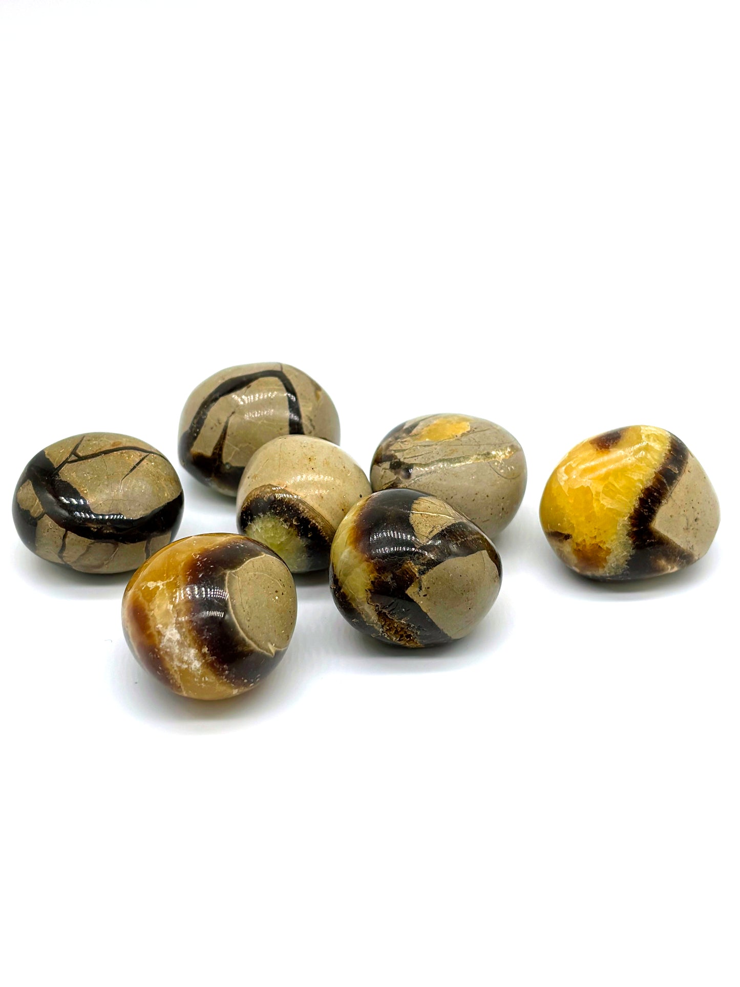 Septarian kristall – Draksten för motivation, jordning, självsäkerhet och personlig utveckling