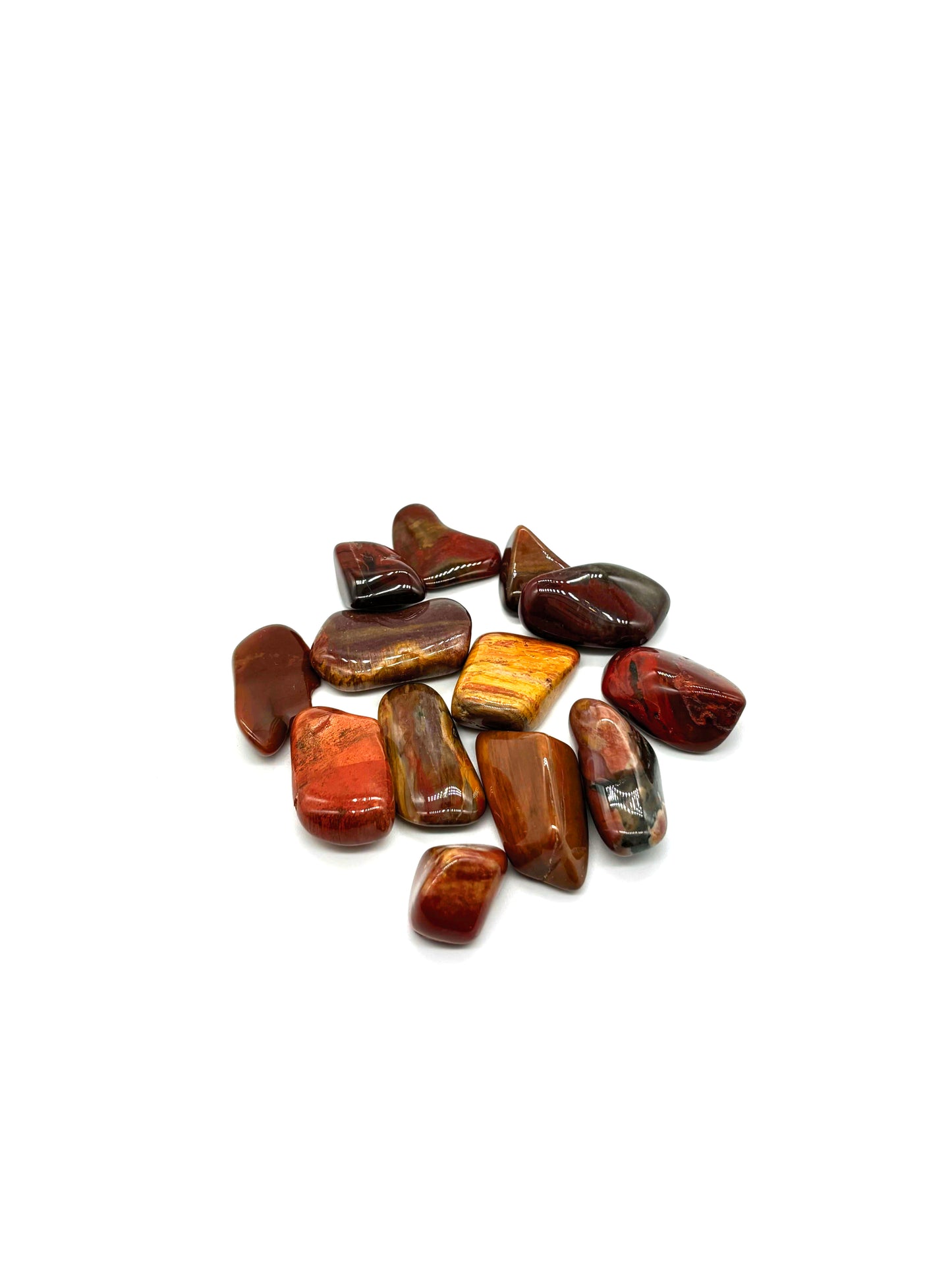 Förstenat trä kristall för jordning, stabilitet, tålamod och uråldrig healing