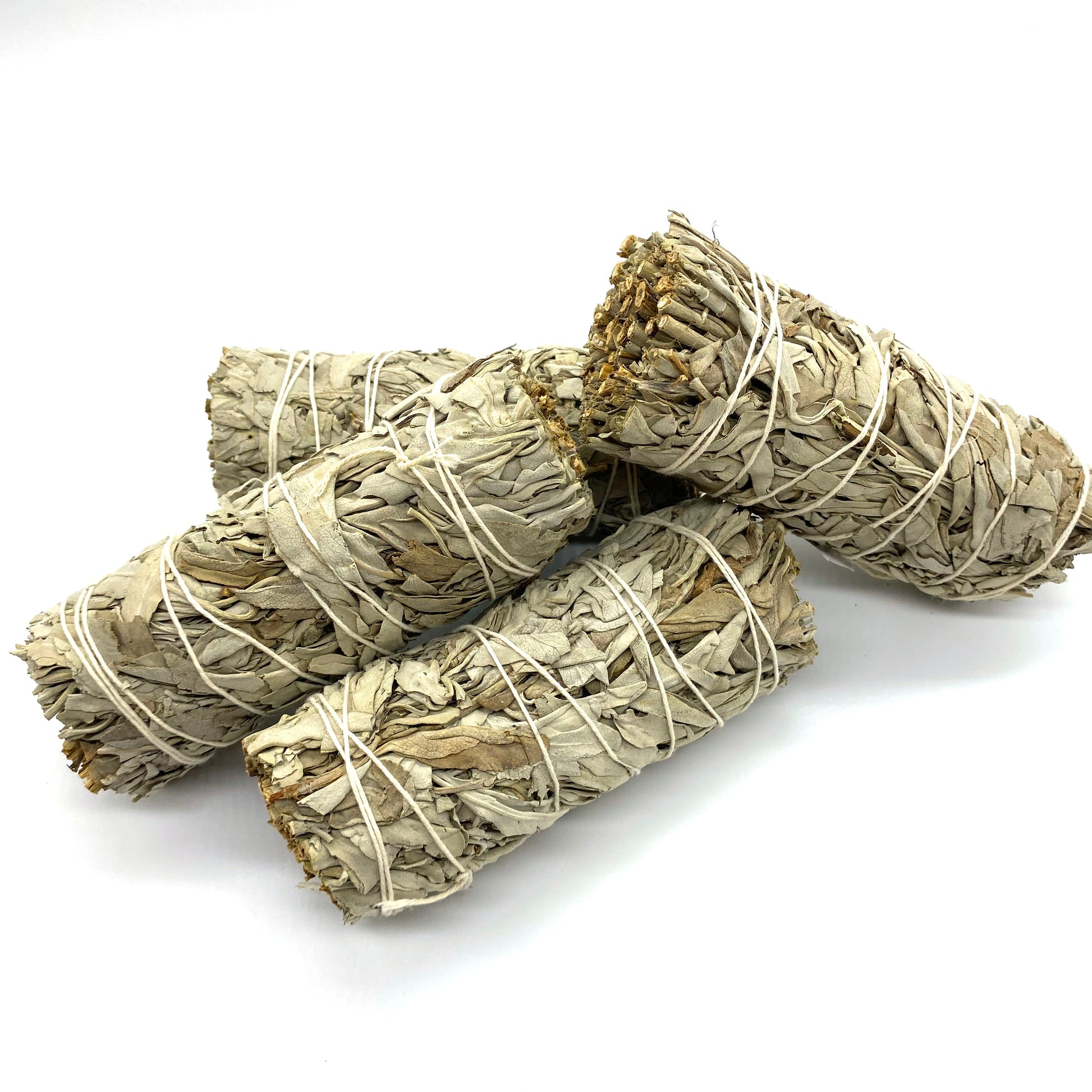 vit-salvia-mellanstor-bunt-rening-kalifornien.